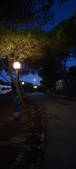 Enlarge photo 912