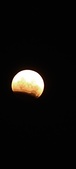 Enlarge photo 915