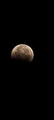Enlarge photo 916