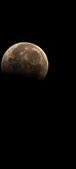 Enlarge photo 917