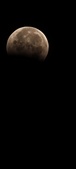 Enlarge photo 919