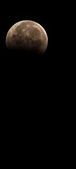 Enlarge photo 920