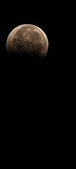 Enlarge photo 921