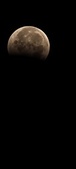 Enlarge photo 923