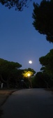 Enlarge photo 924