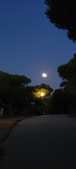 Enlarge photo 925