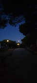 Enlarge photo 926