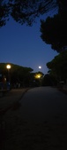 Enlarge photo 927