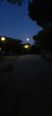 Enlarge photo 928