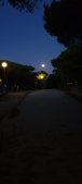 Enlarge photo 929