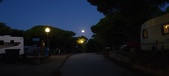Enlarge photo 930