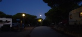 Enlarge photo 931
