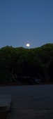 Enlarge photo 941