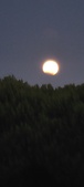 Enlarge photo 942