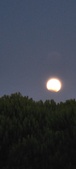 Enlarge photo 943