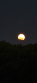 Enlarge photo 944