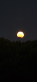 Enlarge photo 945