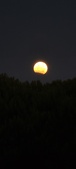 Enlarge photo 946