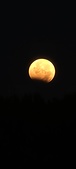 Enlarge photo 947