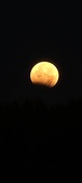 Enlarge photo 948