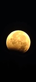 Enlarge photo 950