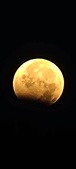 Enlarge photo 951