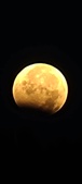 Enlarge photo 952