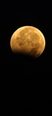 Enlarge photo 953