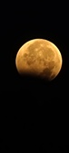 Enlarge photo 954