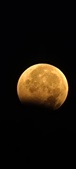 Enlarge photo 955
