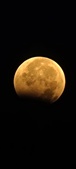 Enlarge photo 956
