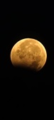 Enlarge photo 957