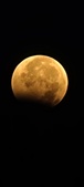 Enlarge photo 958