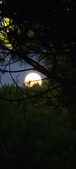 Enlarge photo 959