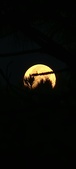 Enlarge photo 960