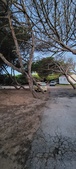 Enlarge photo 964