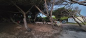 Enlarge photo 965