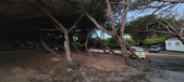 Enlarge photo 966