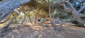 Enlarge photo 986