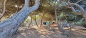 Enlarge photo 987
