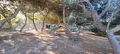 Enlarge photo 988