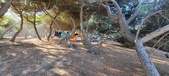 Enlarge photo 989