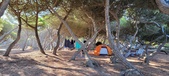 Enlarge photo 991