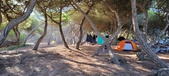 Enlarge photo 992