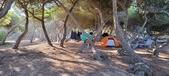 Enlarge photo 995