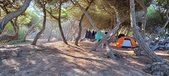 Enlarge photo 997
