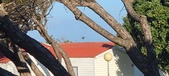 Enlarge photo 1004