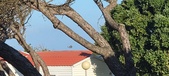 Enlarge photo 1005