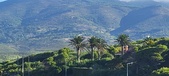 Enlarge photo 1006