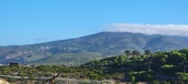 Enlarge photo 1008